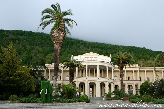 «Амбра». Гагра.