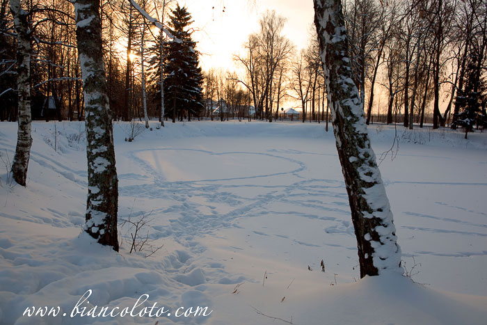 Усадьба Абрамцево