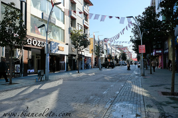 Проспект Чарк. Адапазары. Сакарья