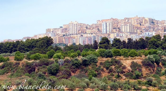 Агридженто