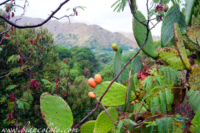 Ущелье Алькантара