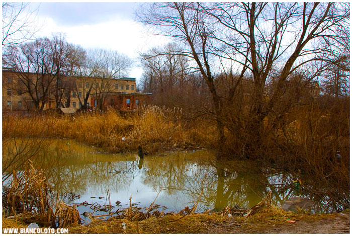 Усадьба Алтуфьево, Москва