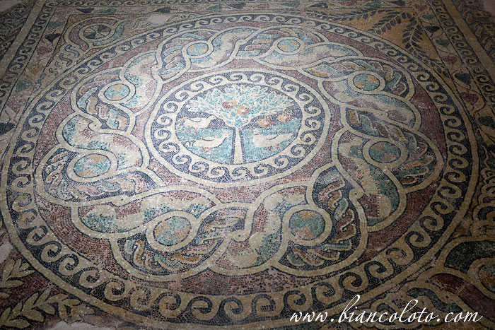 Мозаика с изображением яблонь. Археологический музей. Амасья