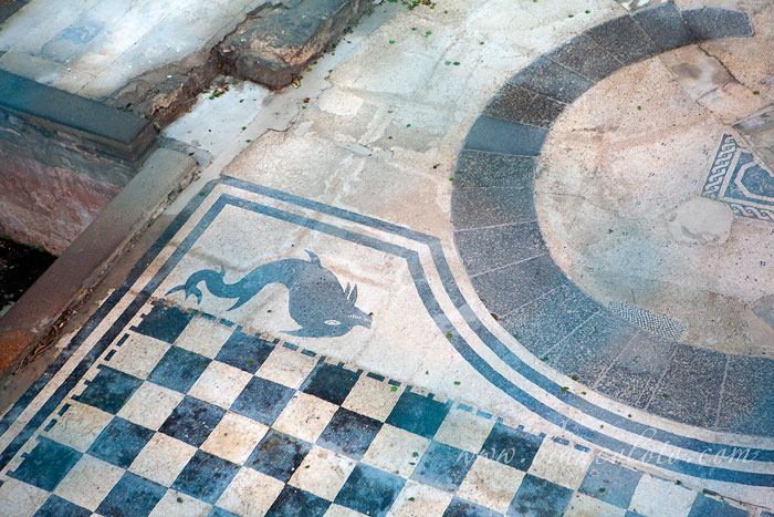 Мозаика древнеримского амфитеатра. Анкона