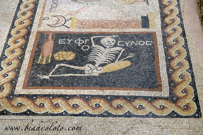 Скелет из Археологического музея в Хатае