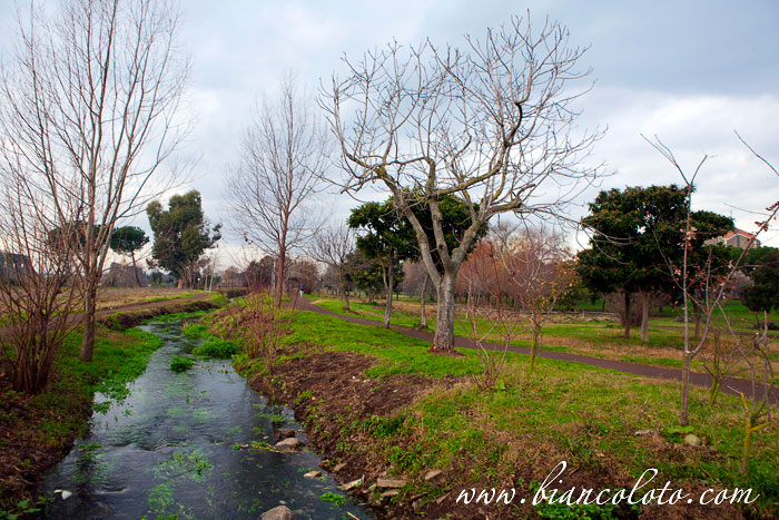 Парк акведуков