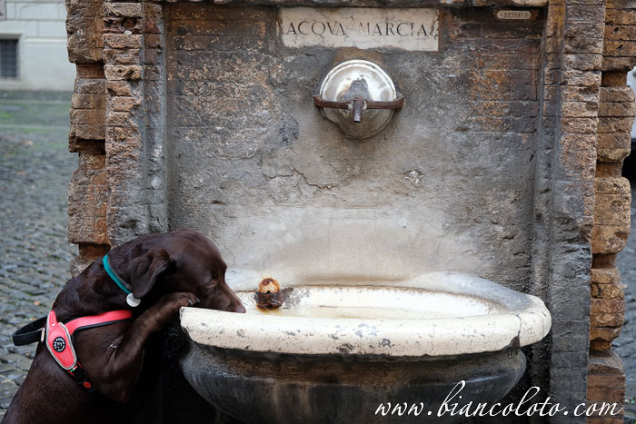 Фонтан Borgo Pio 