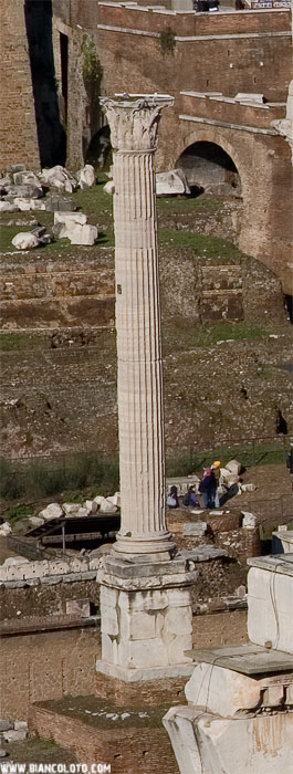 Колонна Фока