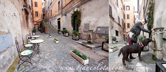 Via dei Coronari и ее обитатели