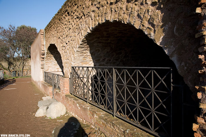 Домус Флавия