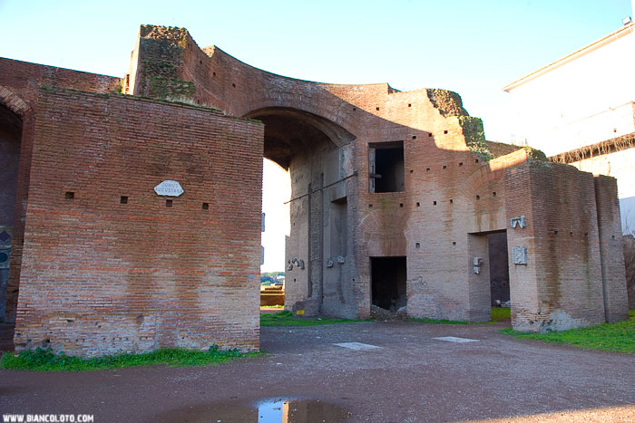 Домус Августа