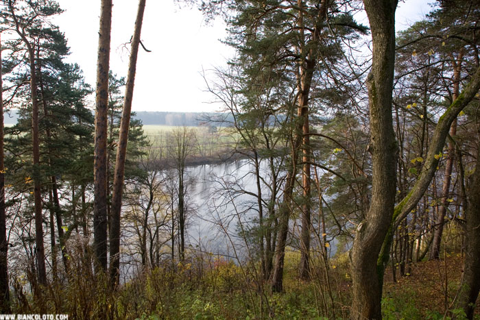 Архангельское