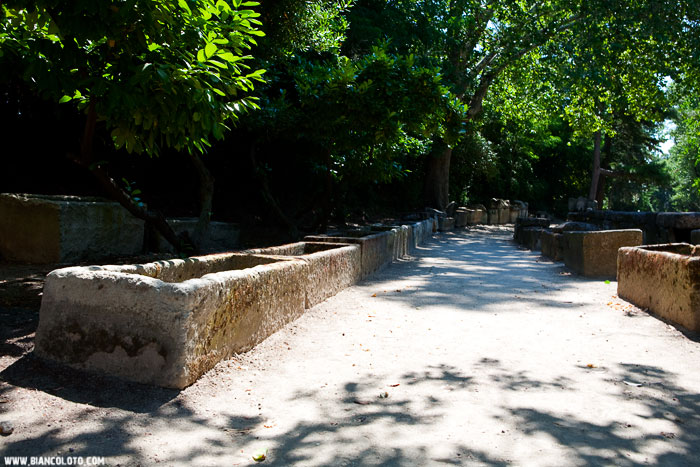 Некрополи Алискамп