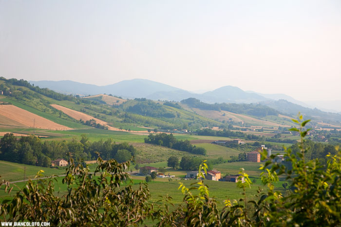 Замок Аркуато