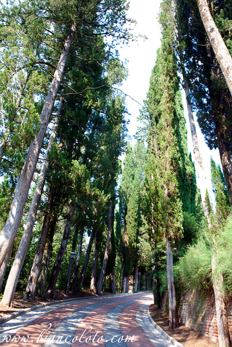 Ашьяно и аббатство Монте Оливето Маджоре. Тоскана. Италия