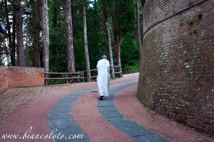 Ашьяно и аббатство Монте Оливето Маджоре. Тоскана. Италия