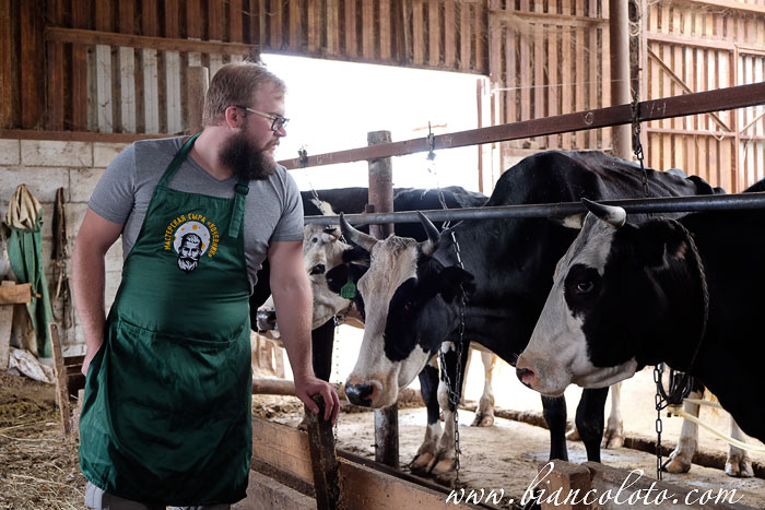 Дмитрий Кочевной