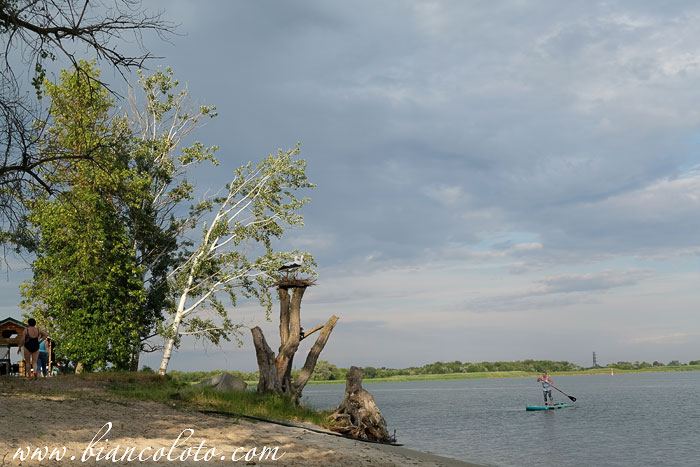 Отдых на Стрелке