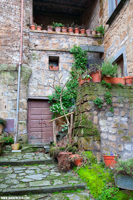 Чивита ди Баньореджо