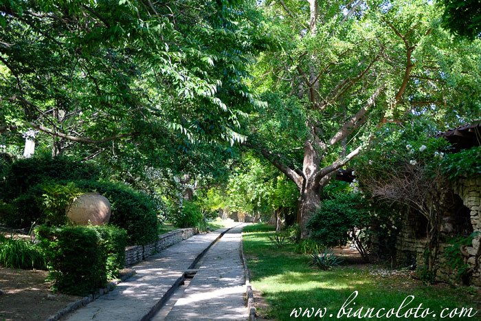 Ботанический сад Балчик 