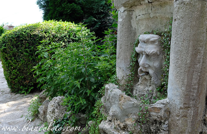 Ботанический сад Балчик 