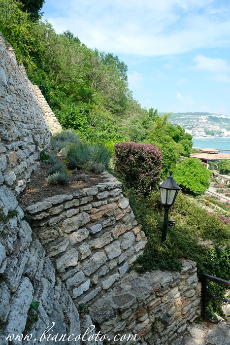 Террасы. Ботанический сад Балчик 