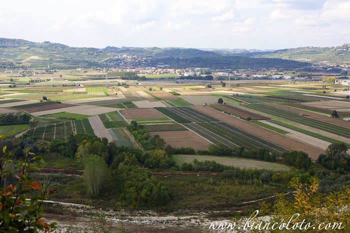 Барбареско