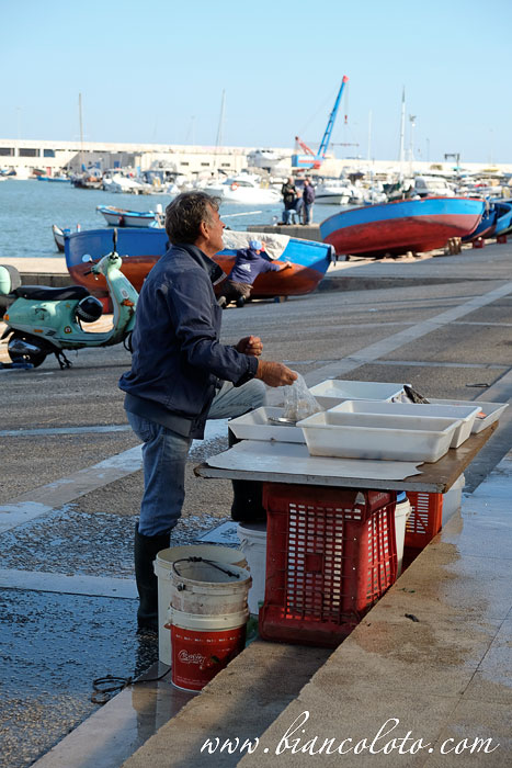 Рыбный рынок 