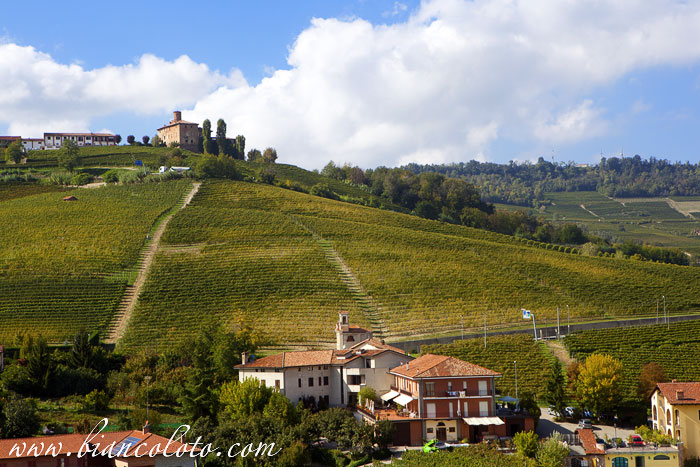 Виноградники. Бароло