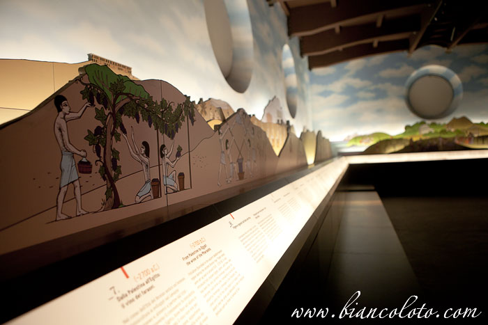 Музей вина в Бароло. Бароло