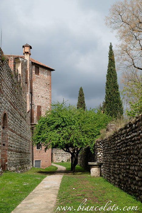 Замок Эццелини