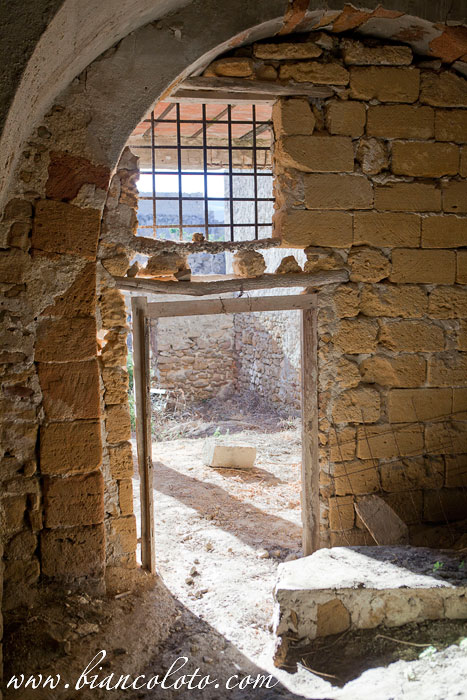 Поджореале