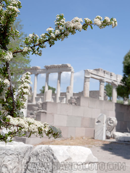 Пергам. Турция.