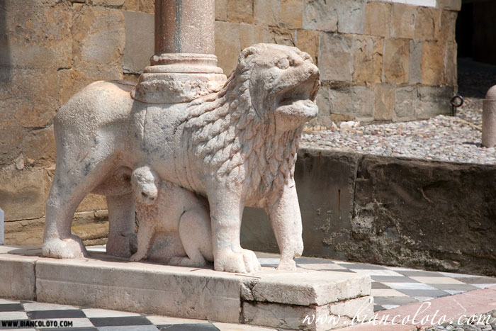 Лев базилики Санта Мария-Маджоре 