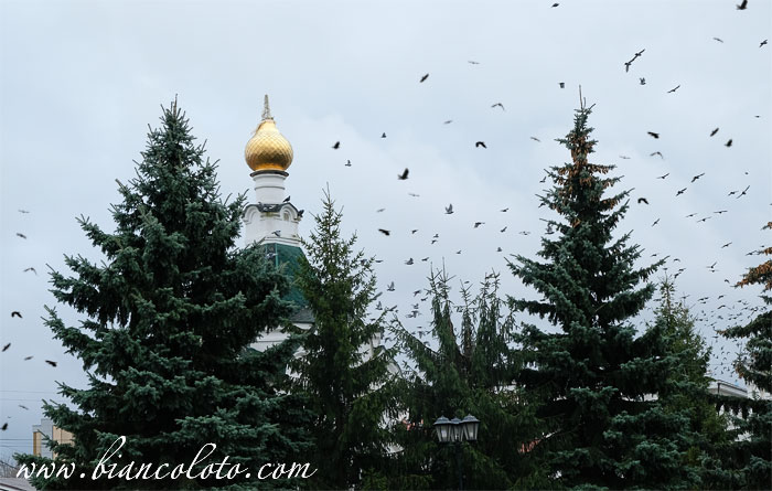 Красная площадь. Богородск