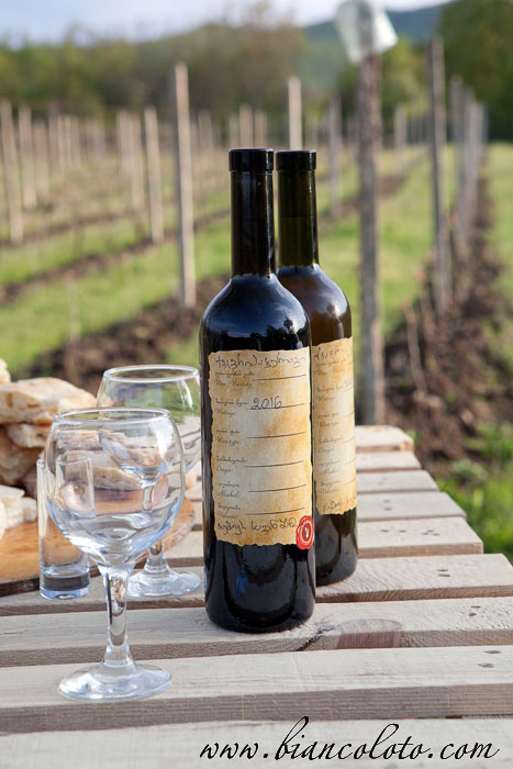 Tavkveri 2016 от Bolnuri