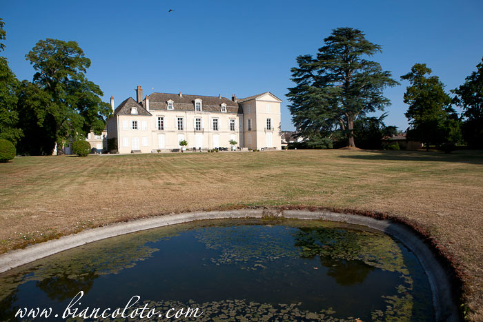 Шато де Мерсо