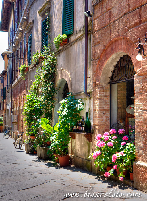 Буонконвенто. Тоскана. Италия