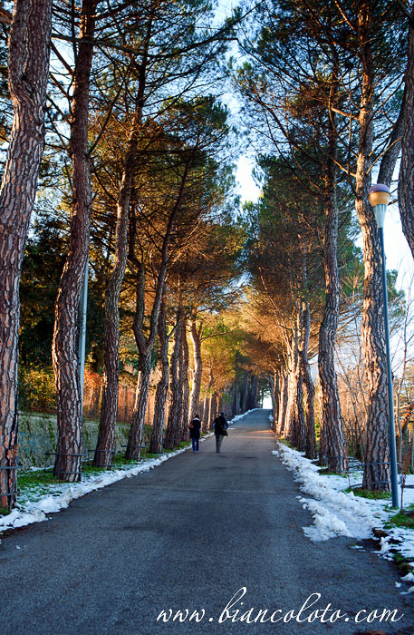 Аллея, ведущая к замку. Кампобассо