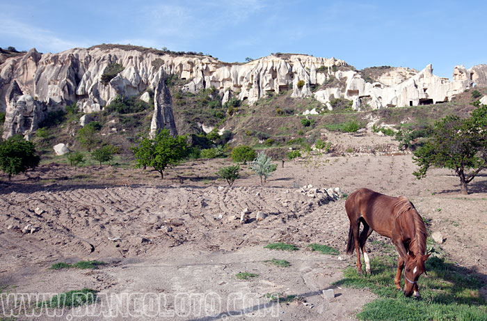 Каппадокия. Турция.