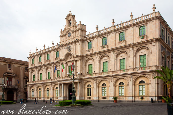 Университет. Катания