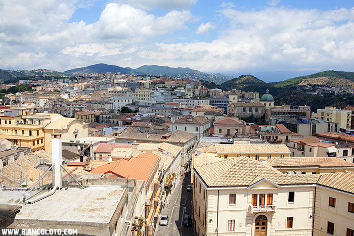 Вид на город с колокольни Кафедрального собора. 