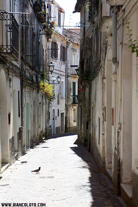 Улочка города. Катандзаро