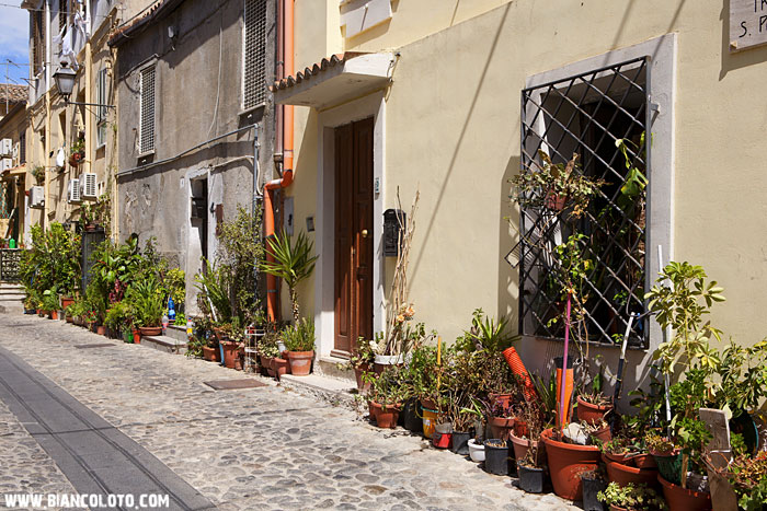 Катандзаро