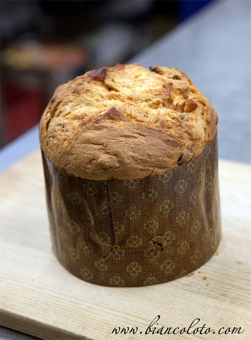 Итальянский панеттоне



