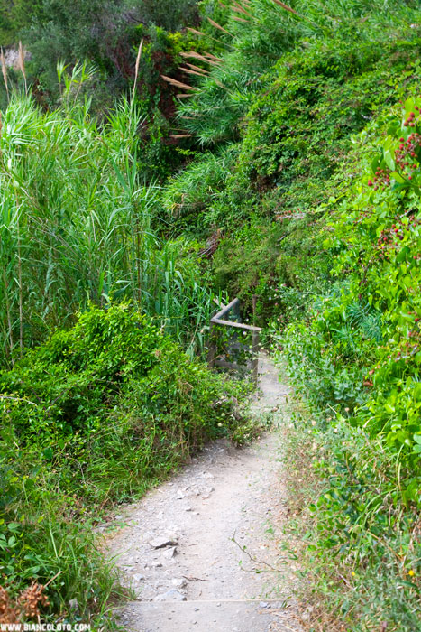 Пять земель