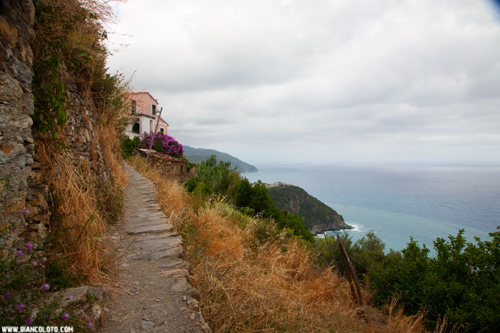 Пять земель