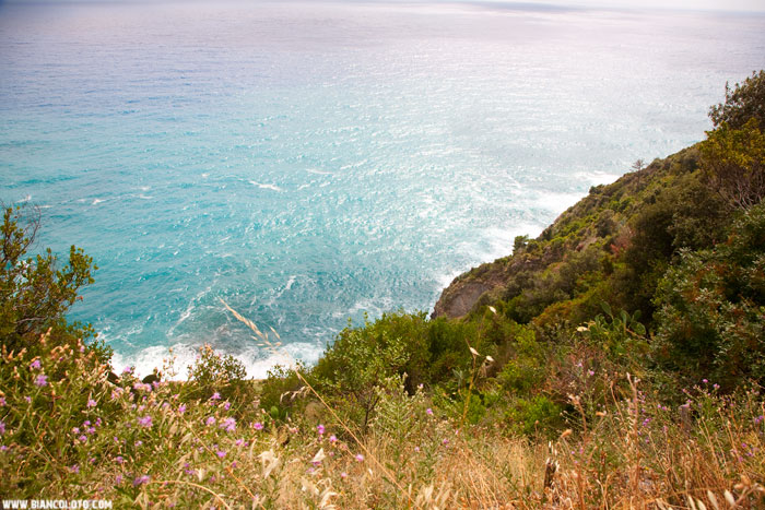 Пять земель