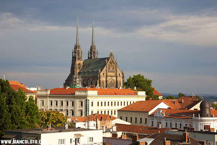 Собор Свв. Петра и Павла. Брно. Чехия.