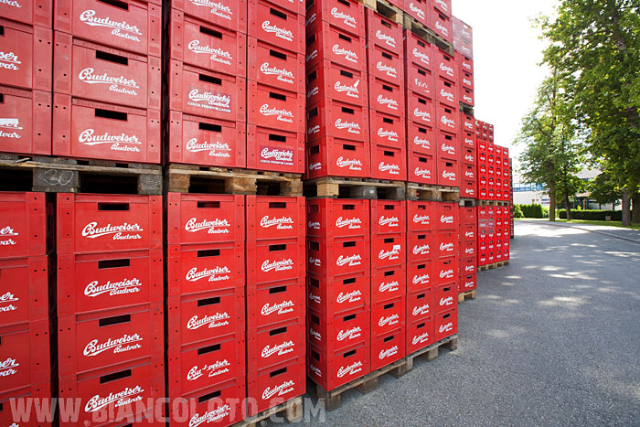 Пиво Budweiser Budvar.  Ческе-Будеевице. Чехия.